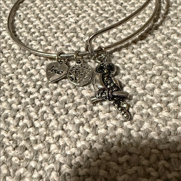 5/$25 Owl bangle Bracelet - Picture 2 of 2